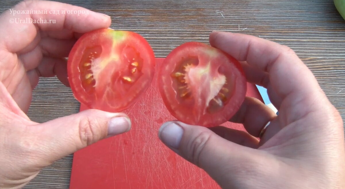 Сегодня мы разберём сорта и гибриды высокорослых томатов, которые высаживали в этом году.-15