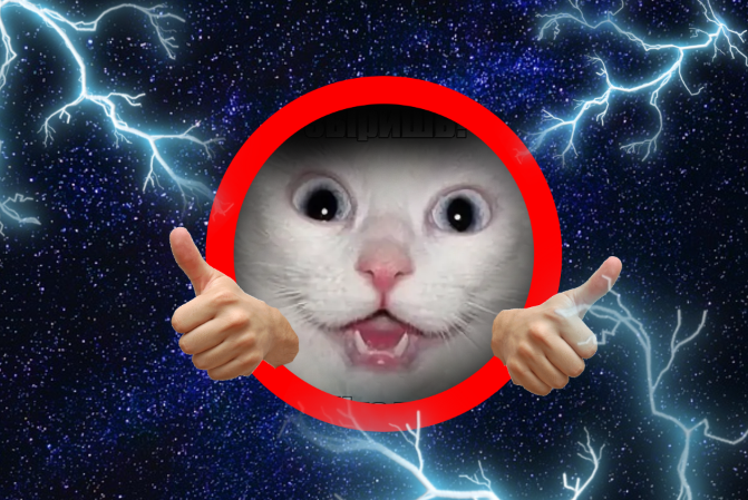 Котику внутри не опасно