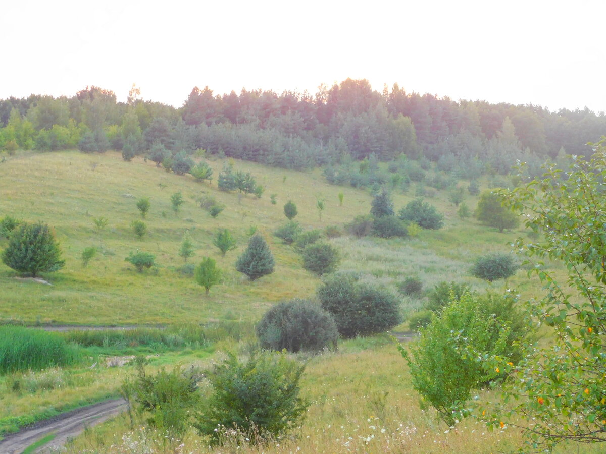 Фото автора канала