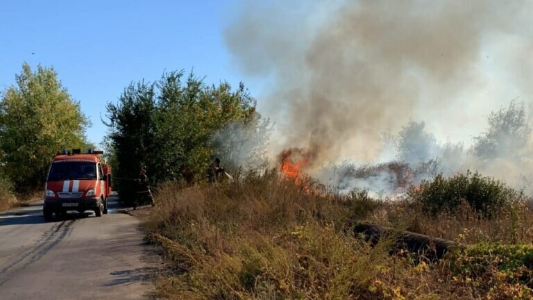    Пожарные не допустили переход огня на жилые дачи орчан Марина Шарт