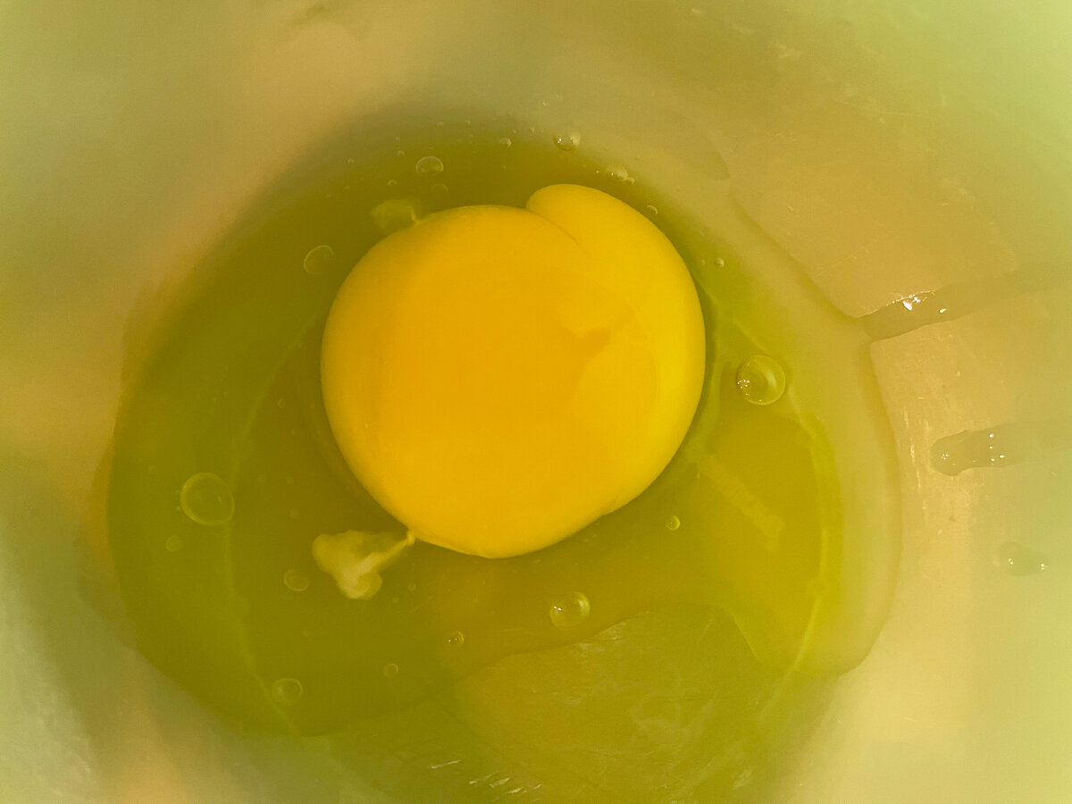 Куриное яйцо