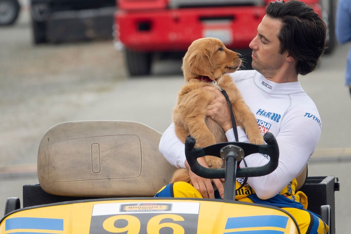 Романтические глубины души: 8 ностальгических перлов киноиндустрии