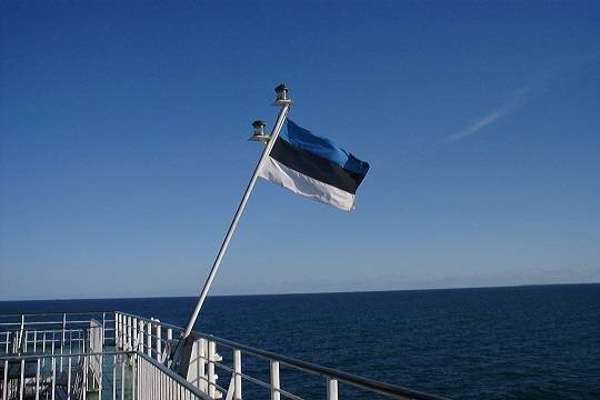    Эстония предложила НАТО вести патрулирование подводных трубопроводов