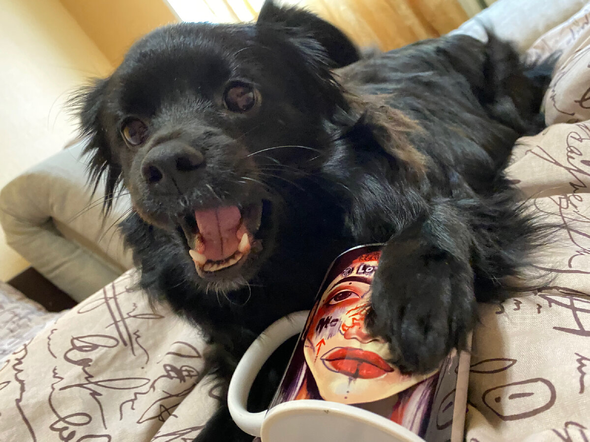 На фото моя собака, Рута. А так же чашка с одним из моих рисунков. Больше моего творчества можно увидеть в моем блоге.