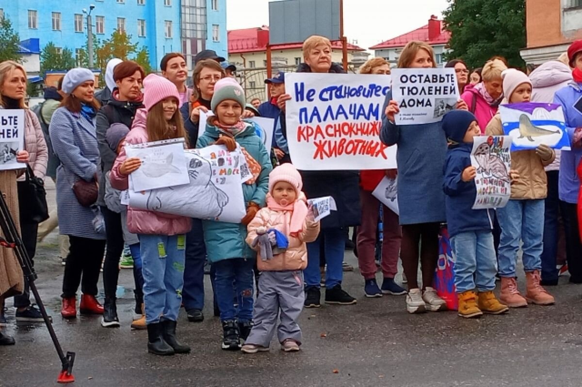    На недавнем митинге мурманчане попросили оставить тюленей дома.