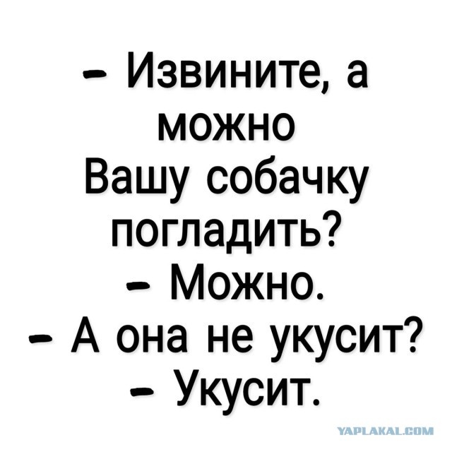 Фото взято с интернета в открытом доступе