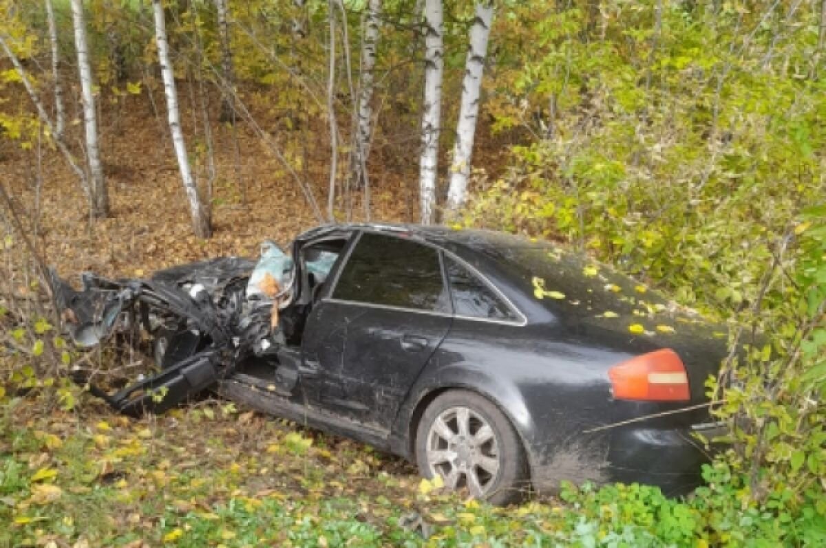    Под Воронежем Audi под управлением 17-летнего водителя улетела в кювет