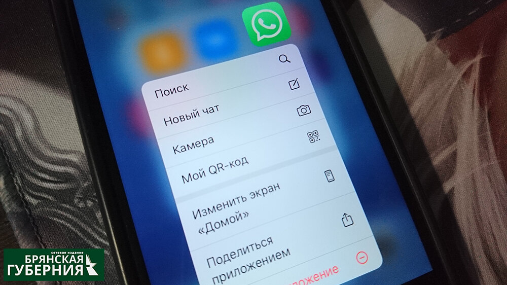 ФОТО: «Брянская губерния»