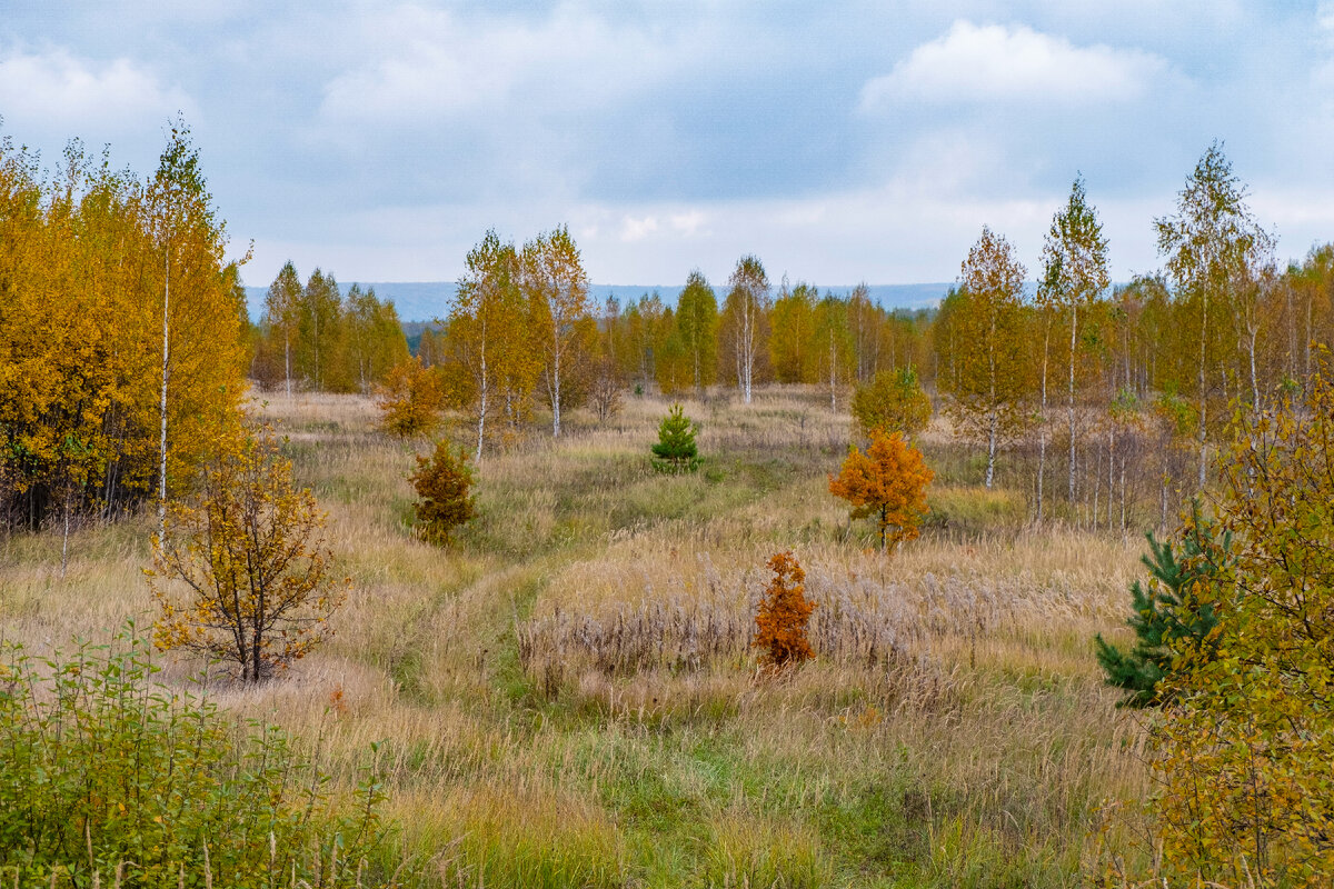 Осенние пейзажи (фото автора). Листайте дальше ->