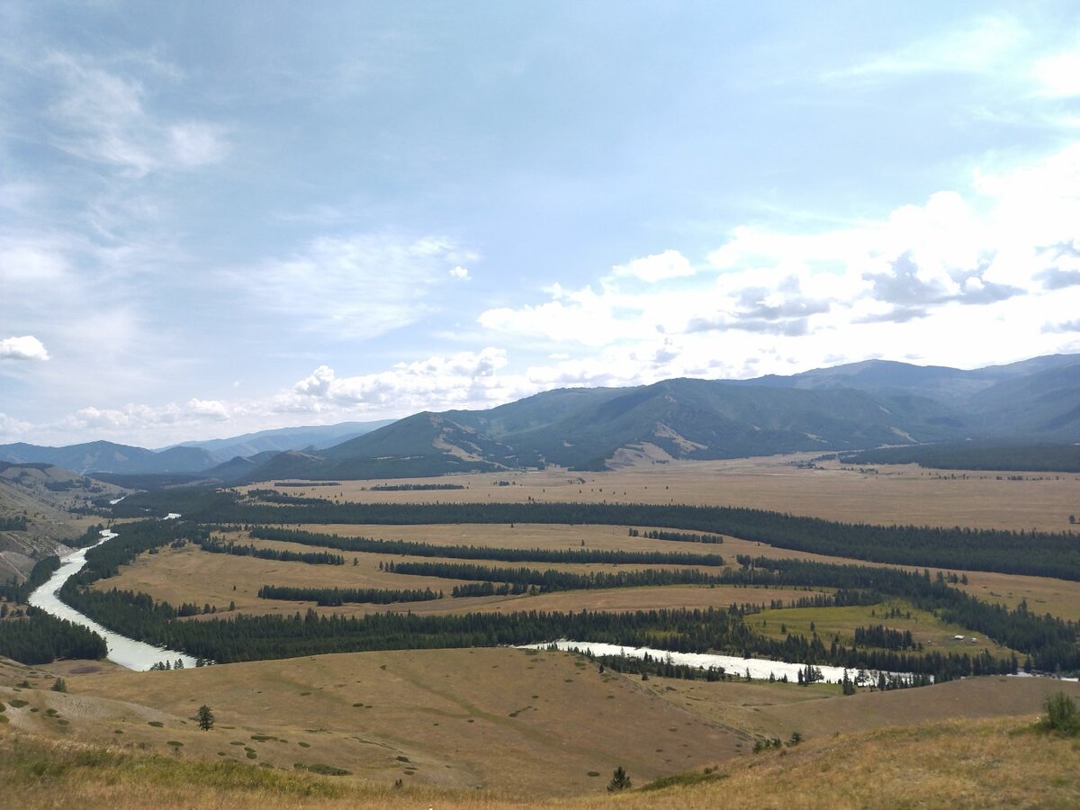 Степь Самаха на левом берегу Аргута, мы стоим на "Перевале" - на правобережье Аргута.