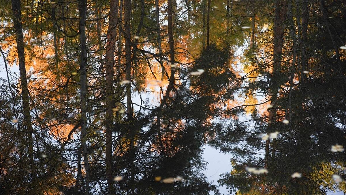    Фото: Александр Авилов / АГН Москва