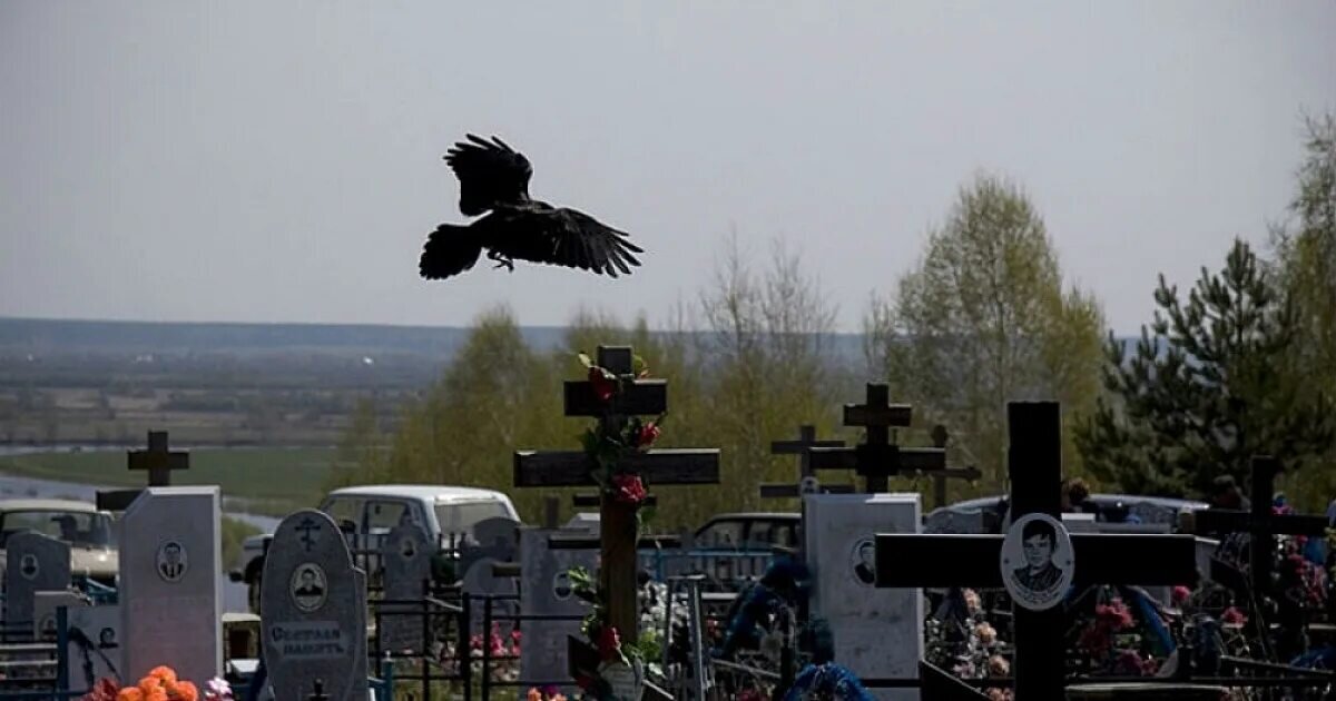 Куда попадает самоубиенный. Радоница на кладбище. Могилкина Радоницу. Ворон на кладбище.