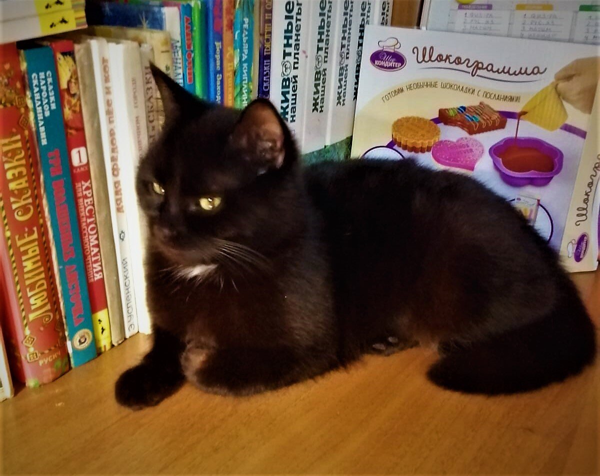 Виновница "торжества" Василиса