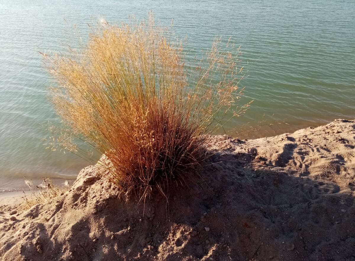 Подмосковье. Фото моё.