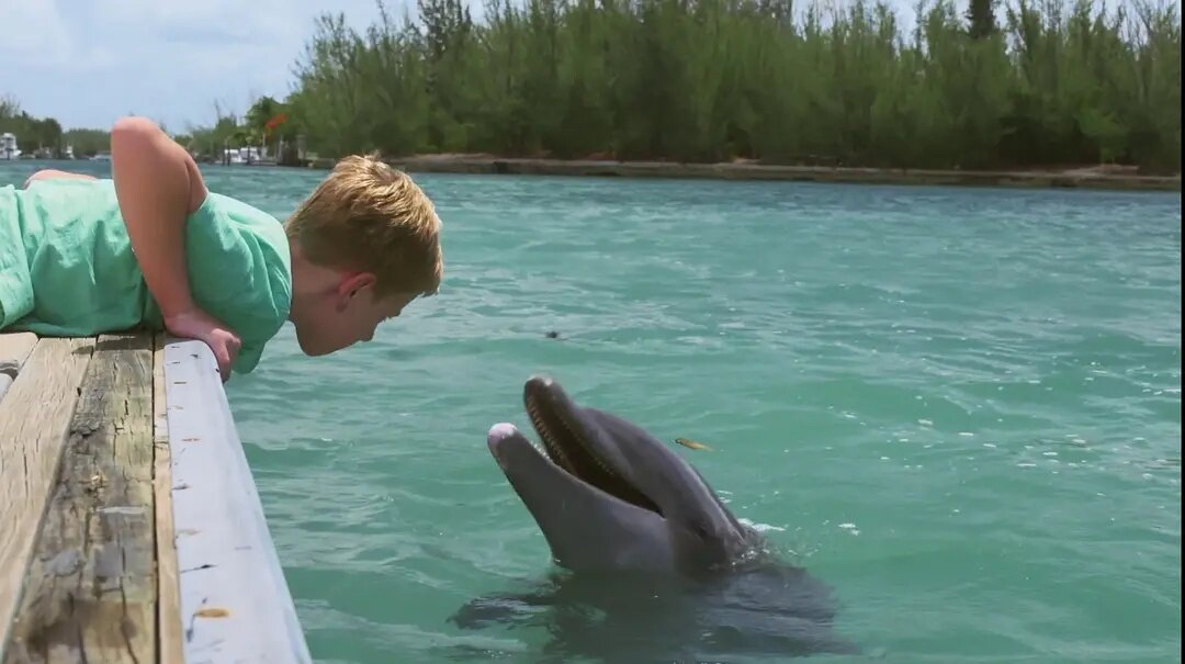 Кадр из фильма. Фото взято из интернета. 