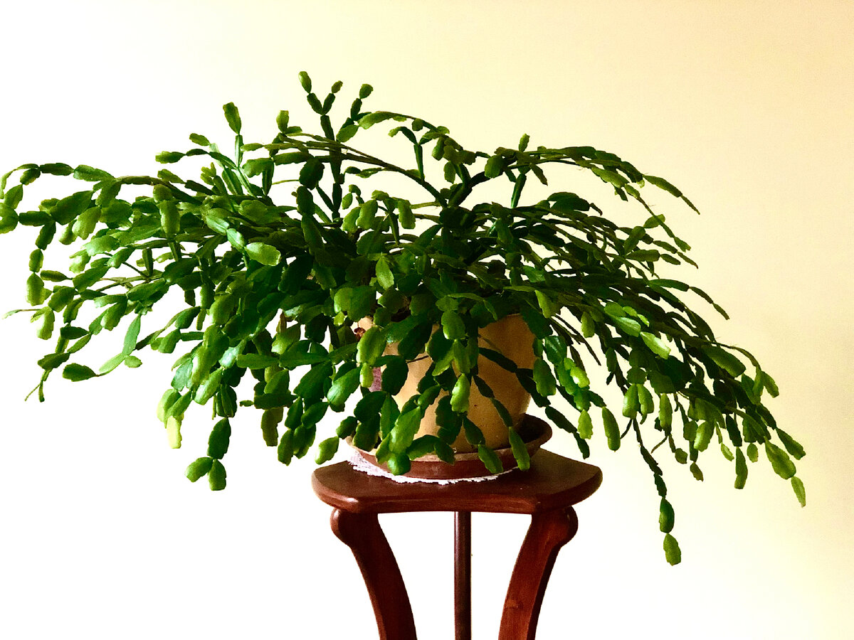 Личное фото 