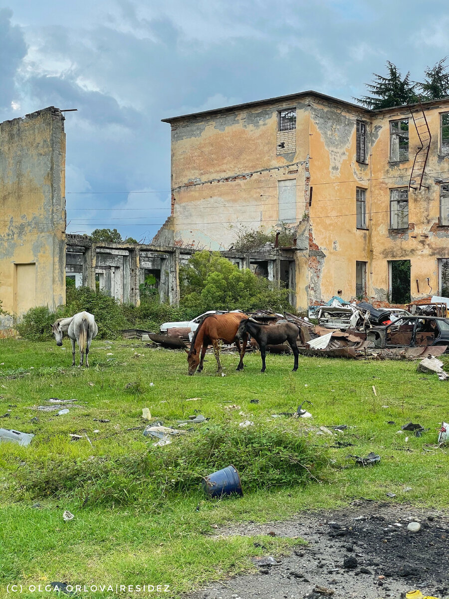 Внутри школьного двора