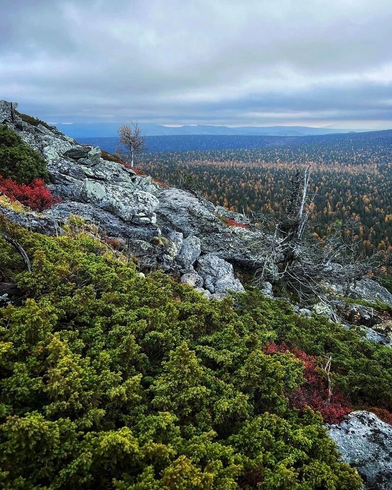 Пермь горы фото Горы Пермского края: вершина Шудья-Пендыш Наш Урал и весь мир. Цели и маршруты д