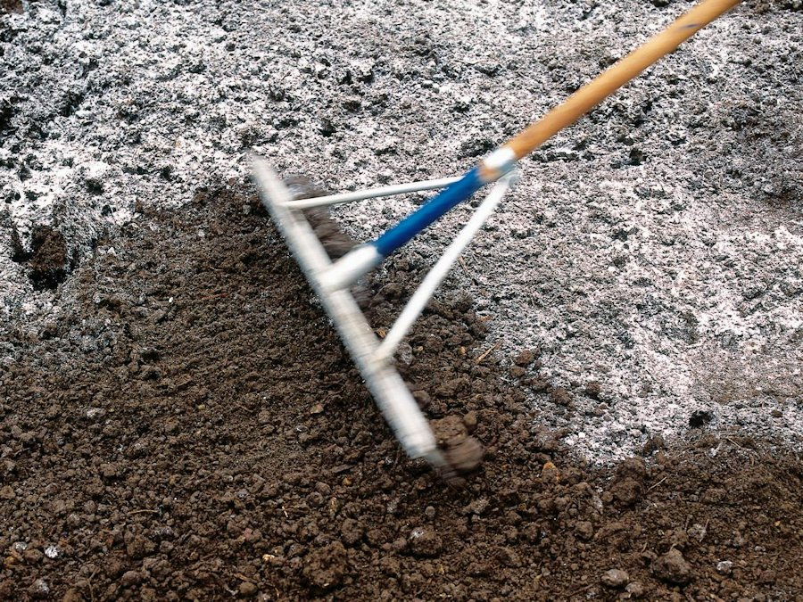 ���� � �������: ��� ��������� � ����� �����