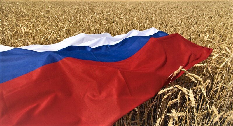 Фото взято из открытых источников