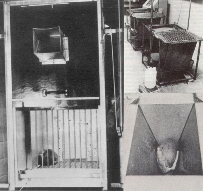 «Яма отчаяния»