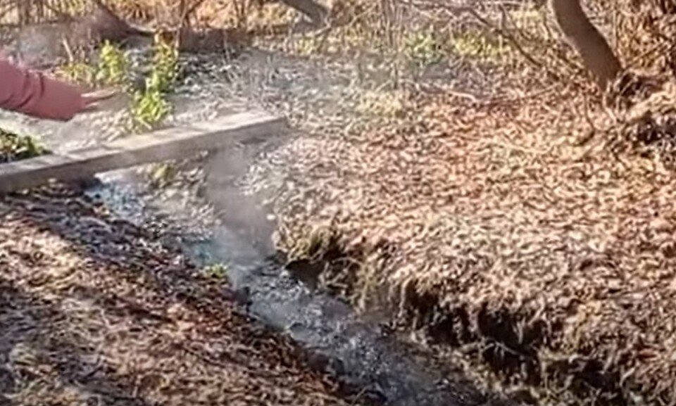     Скриншот видео из youtube-канала «Левый Бийск»