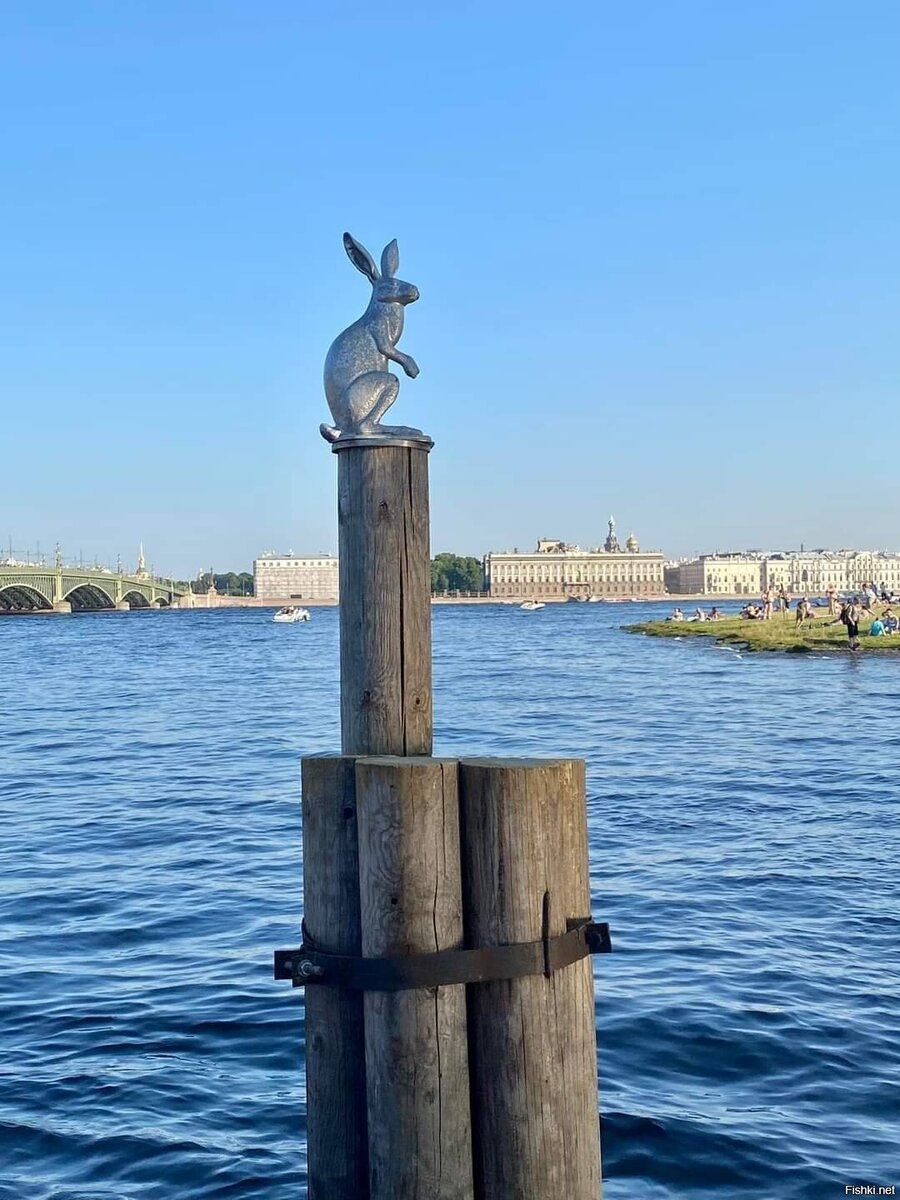 Санкт петербург заячий остров фото