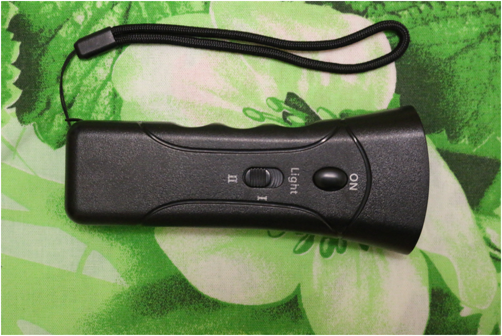 Фото из личного архива.