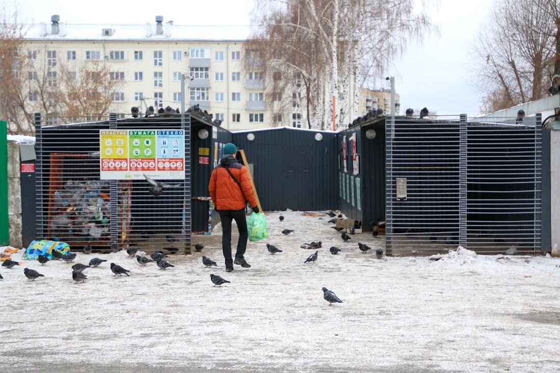 Никакого продвижения в этой сфере нет»: из-за халатности регоператора Казань  рискует утонуть в отходах | Новости Татарстана | Дзен