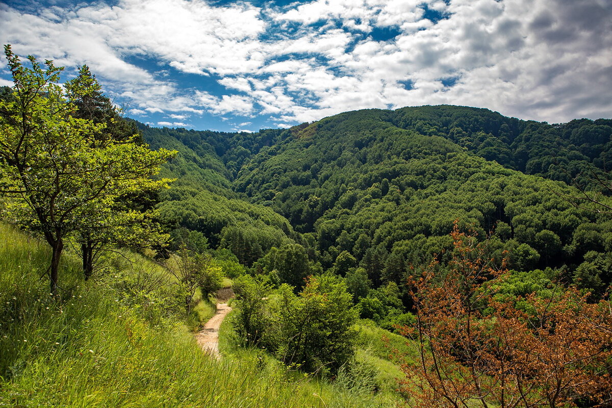 Кисловодский национальный парк фото летом