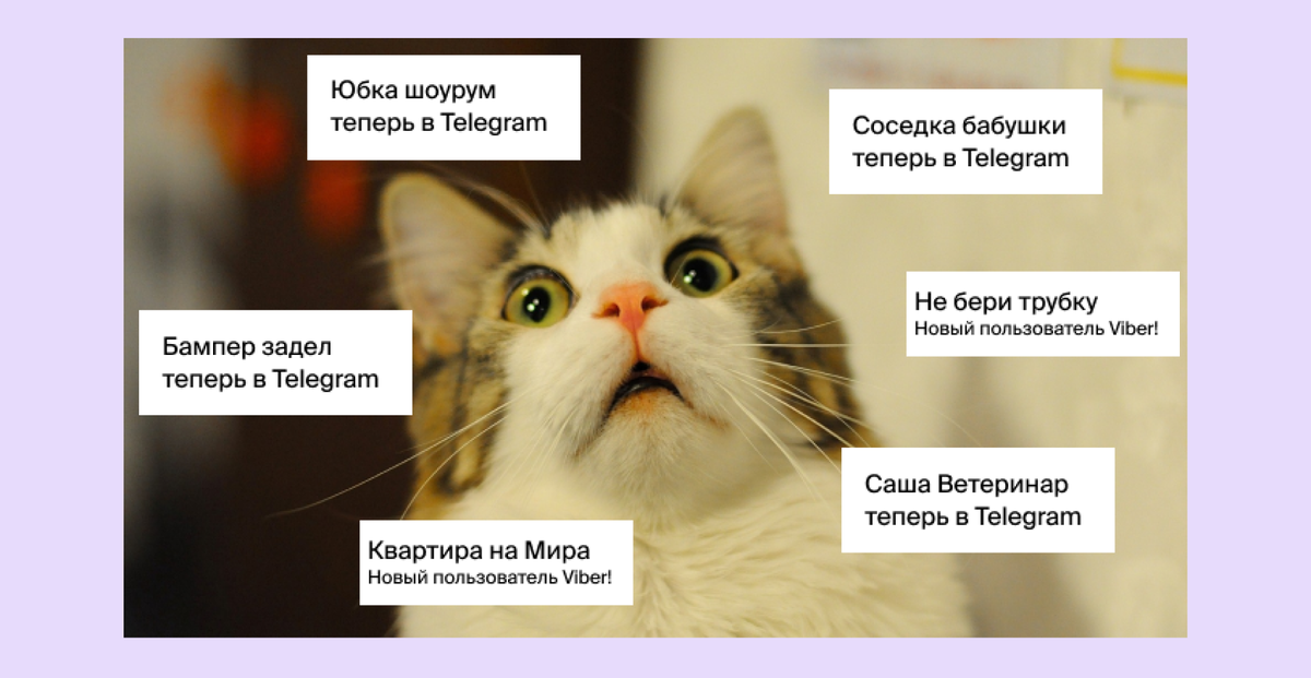 50 кот регистрация