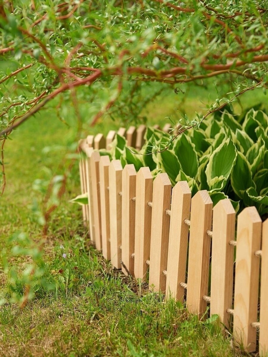 фото с сайта zelenyklen.ru