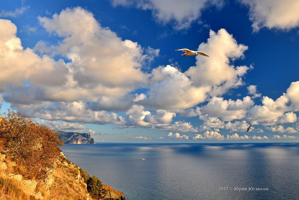 Фото Юрий Югансон.