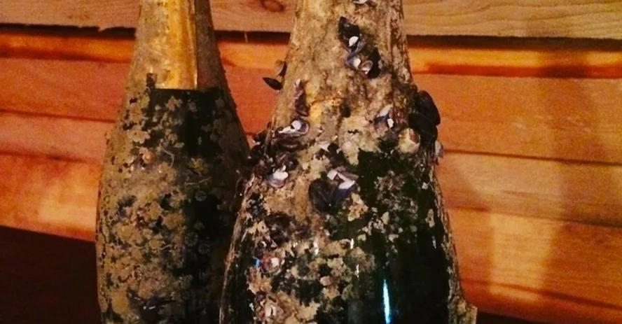 Дно шампанского. Самое старое шампанское в мире. Редкое шампанское. Самое дорогое шампанское в мире. Самая дорогая бутылка шампанского в мире.