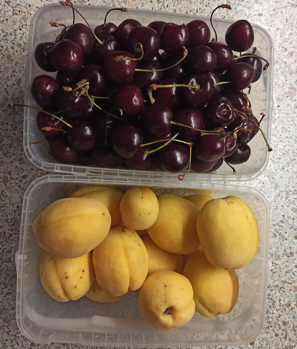 Очень удобно использовать для нежных фруктов контейнеры из-под шашлыка с крышками.