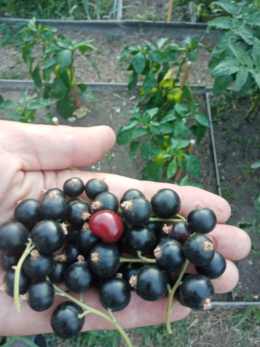 9 июля 2021 года