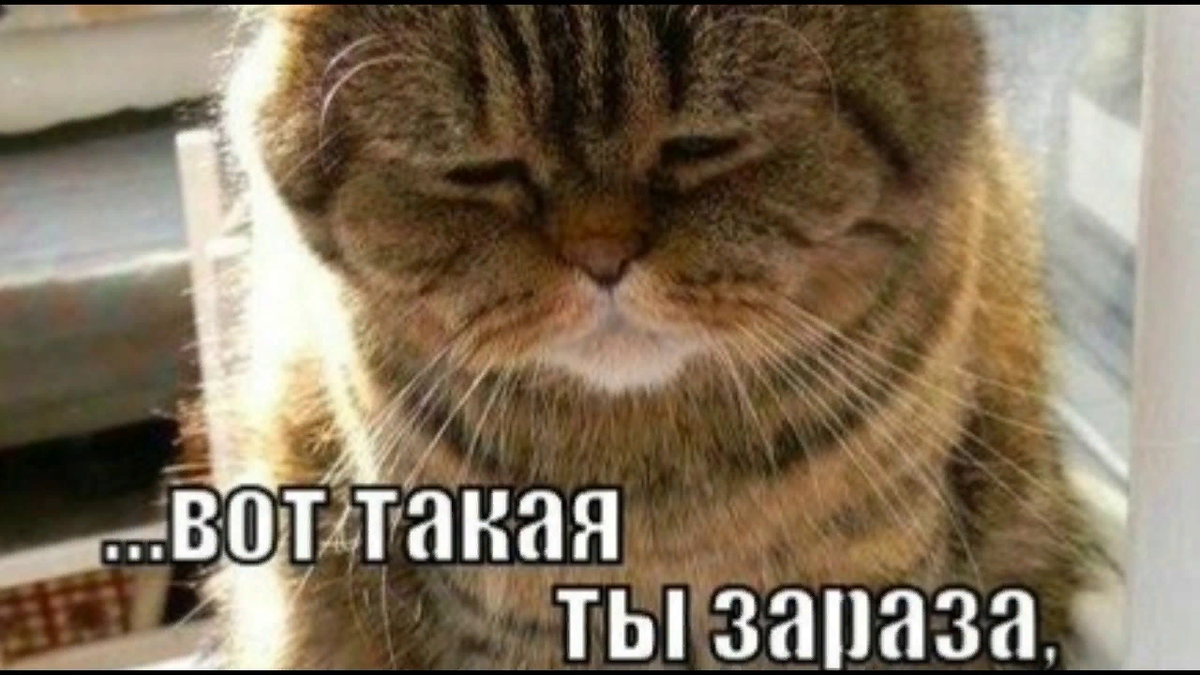 Он зараза!