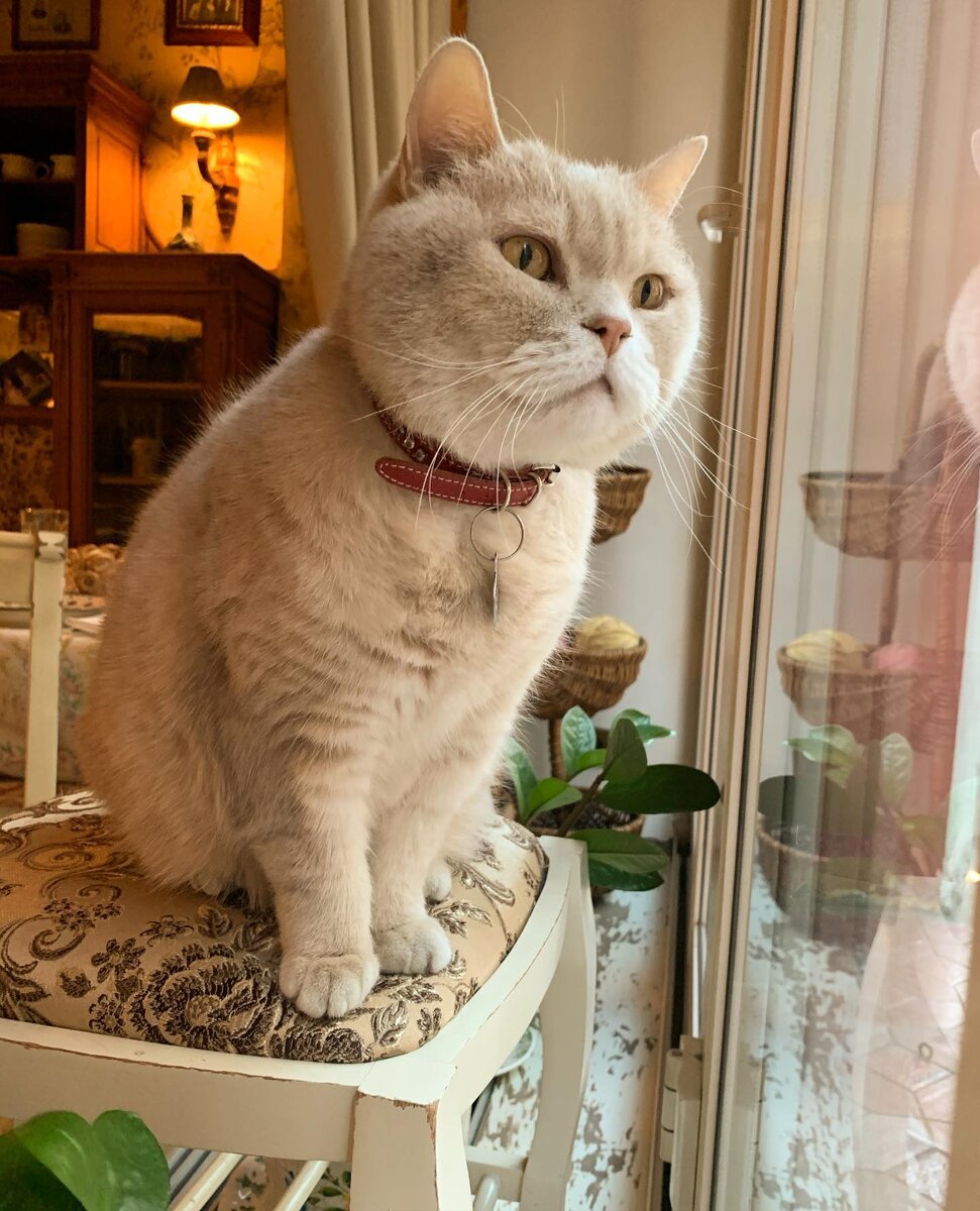 фото со страницы  ресторана Мариvanna фейсбук