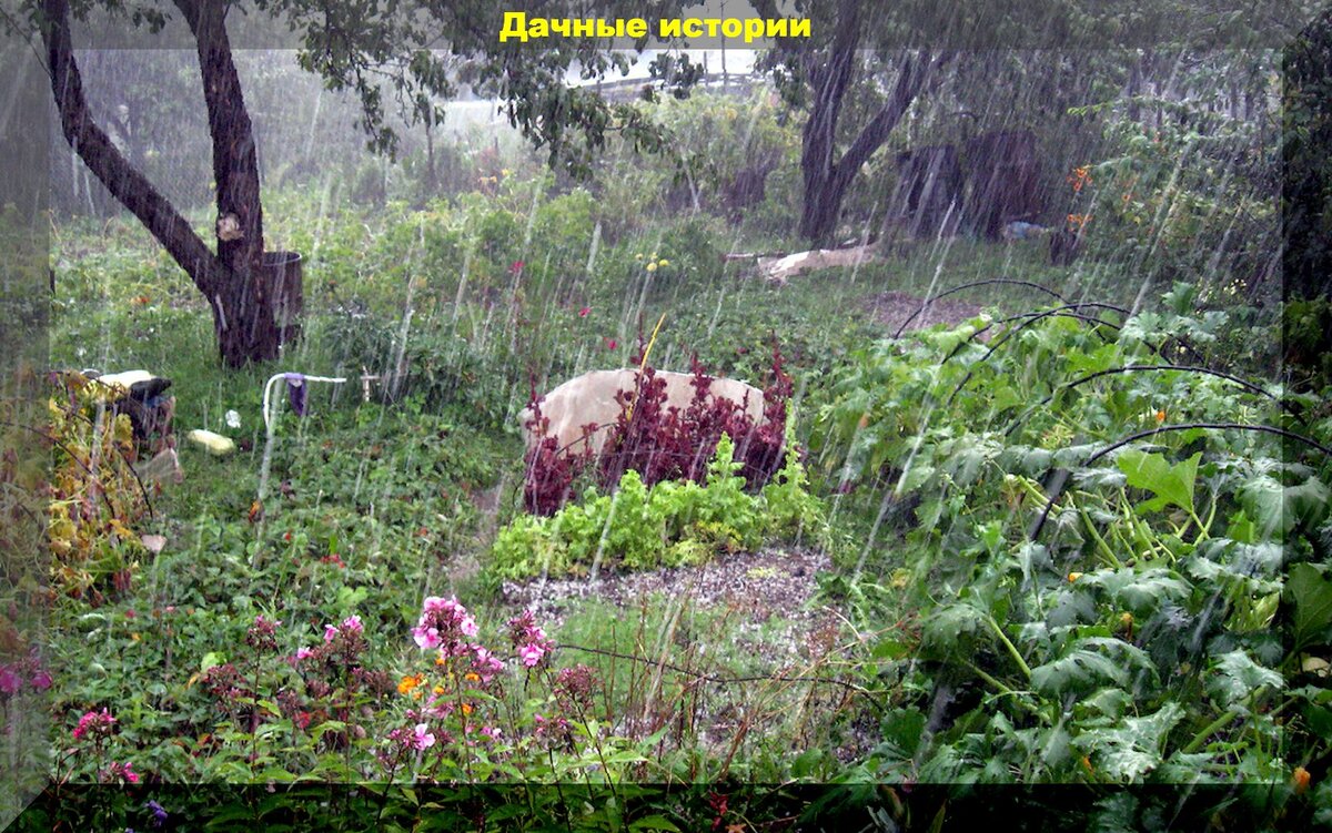 https://vk.com/photo-159774511_457248467