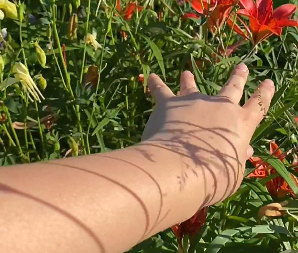 План - деталь