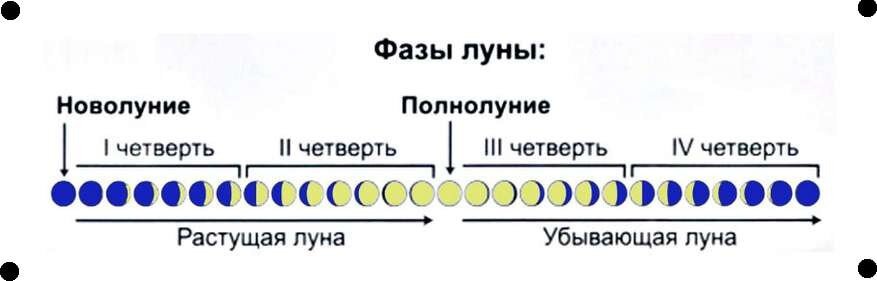 Лунный цикл