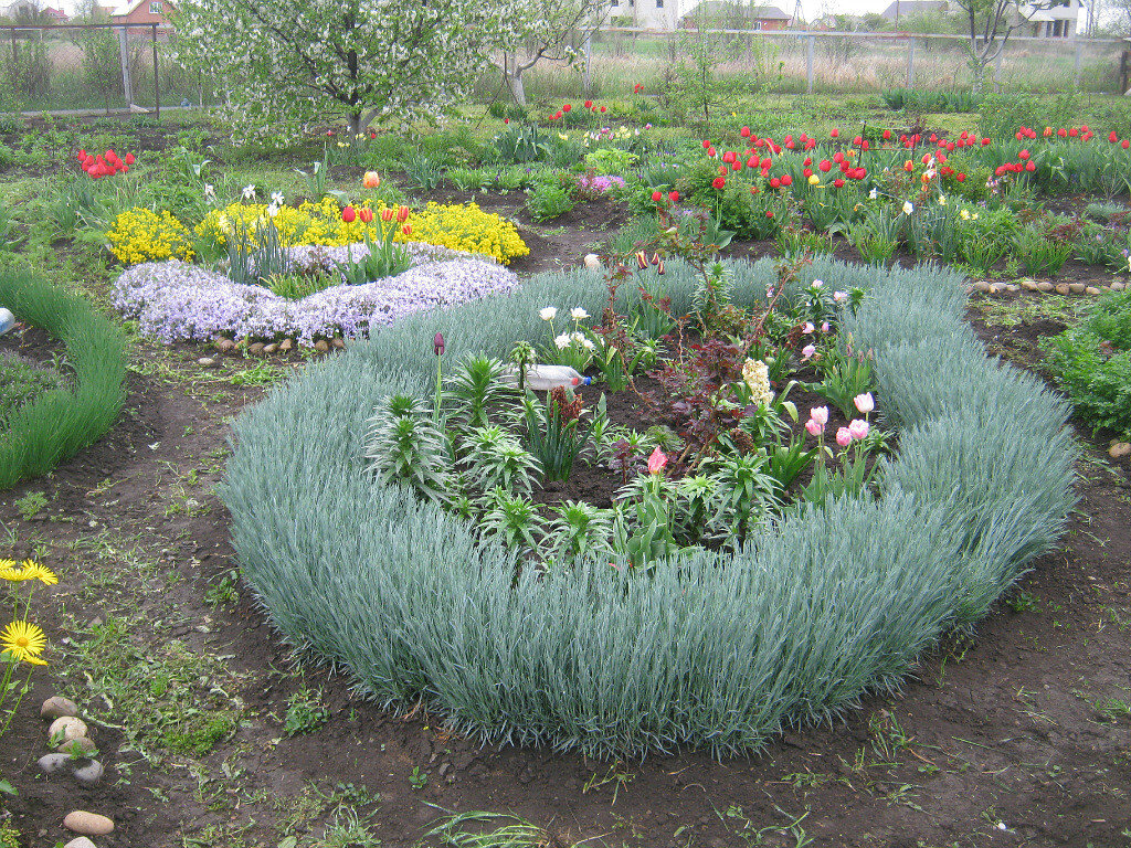 Апрель 2010 г