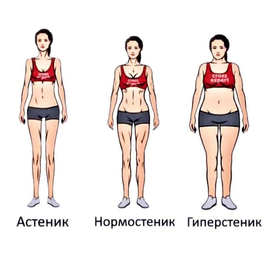 Нормостеническое телосложение у женщин что это фото