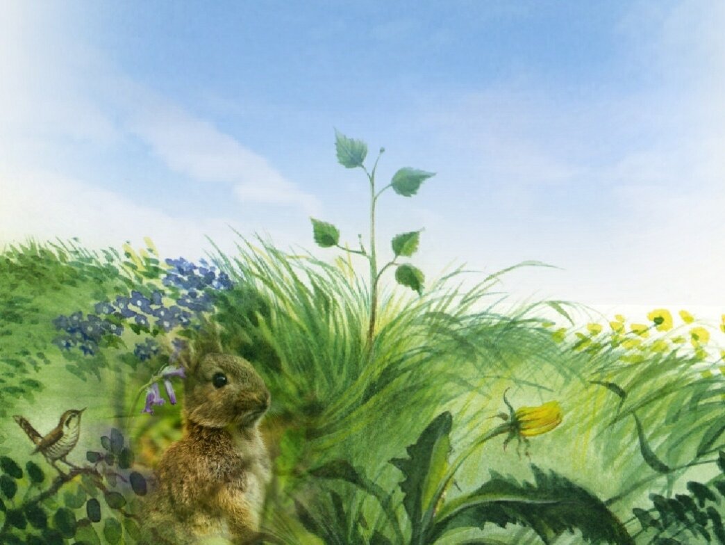 фото из открытого доступа