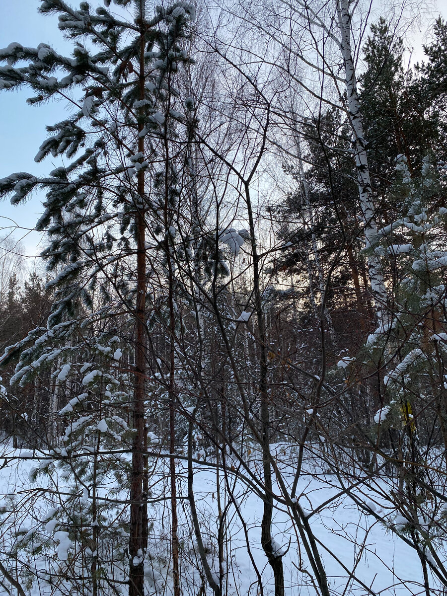 Скоро новый год, мне уже мандаринками пахнет. А точно, это же я их лопаю сижу)))