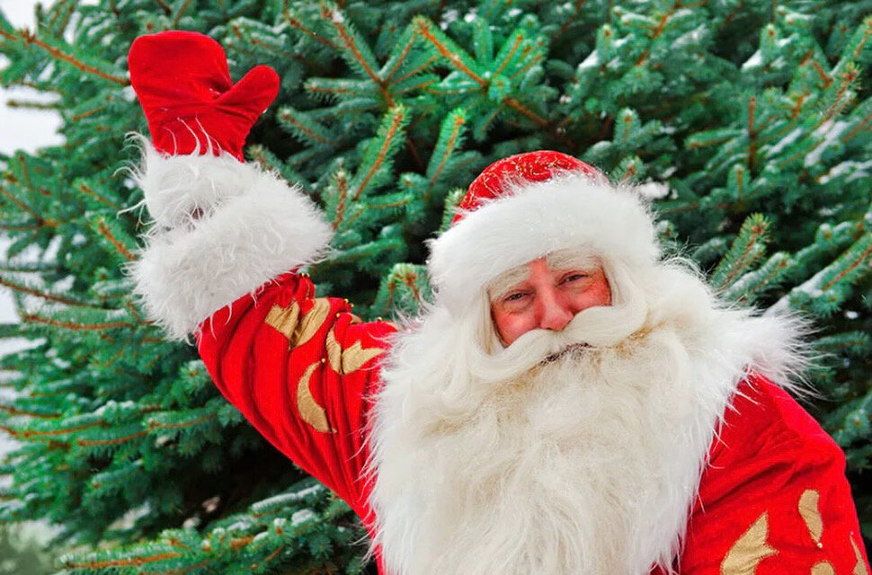 Дед Мороз на Елочном базаре! Фото из открытых источников