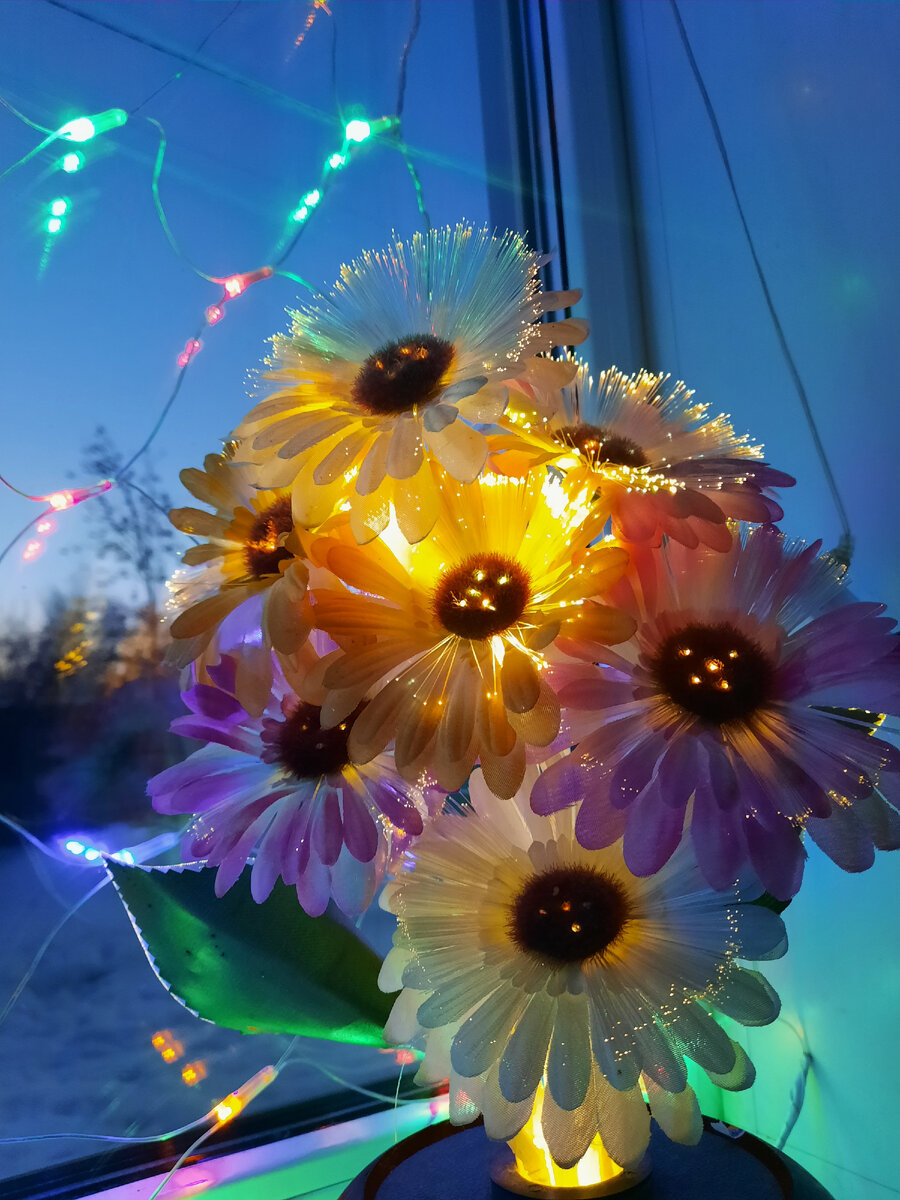 Эта красота была в доме, дети решили её включить и поставить на окно)