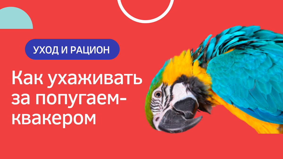 Все картинки автора канала