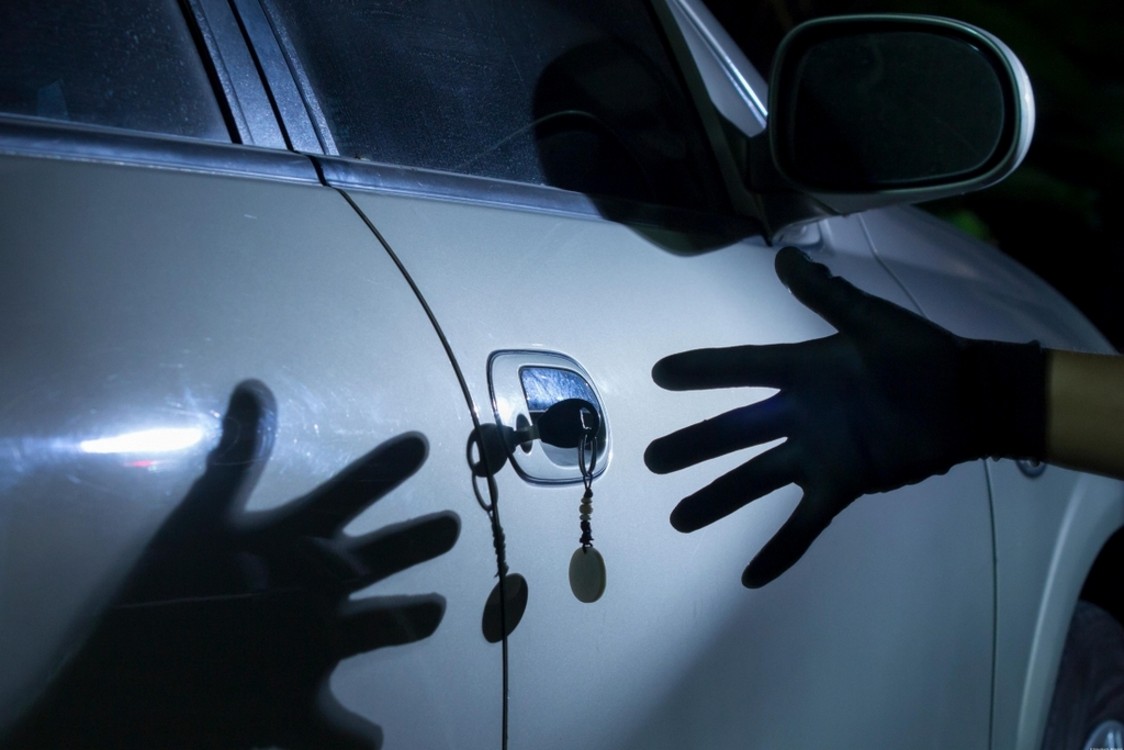 фото с яндекс картинки