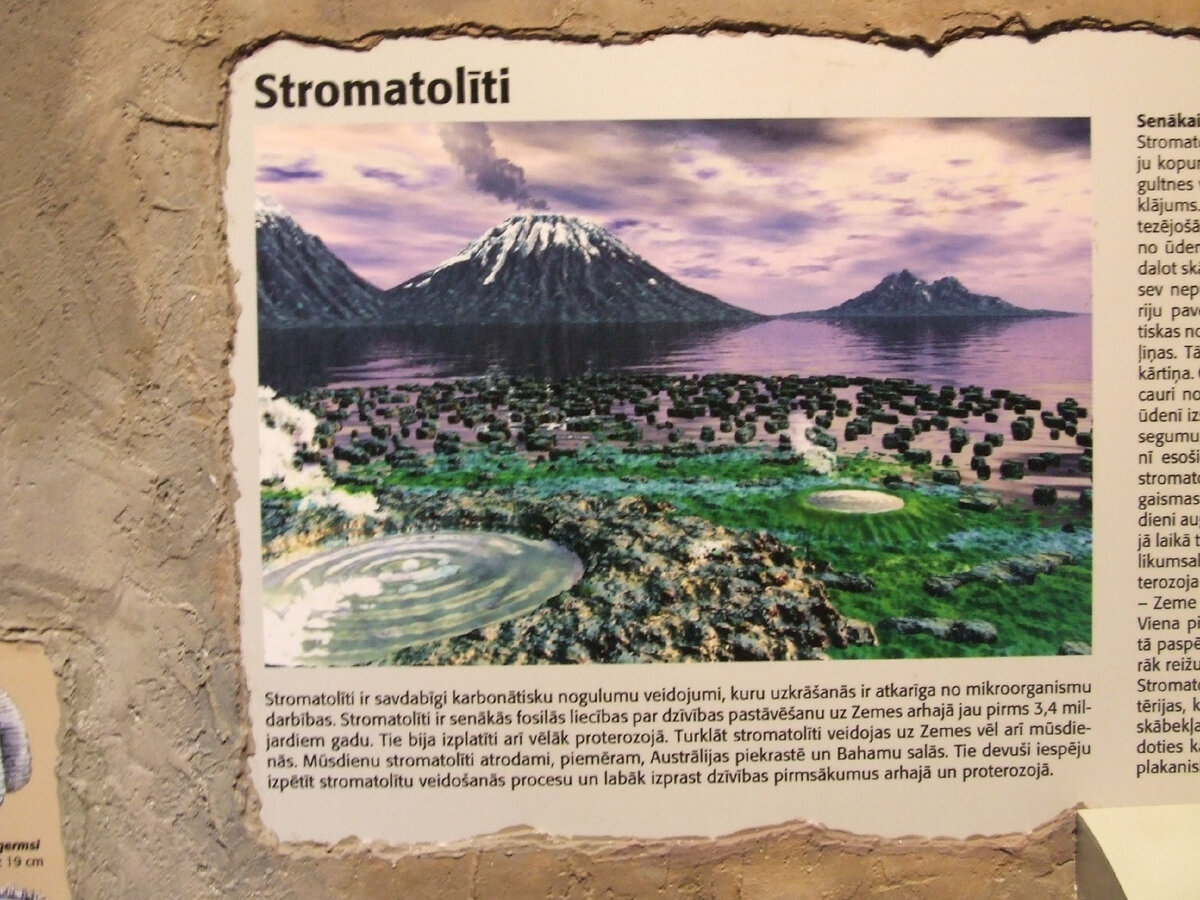 Описание уникальных музейных экспонатов. Фото автора